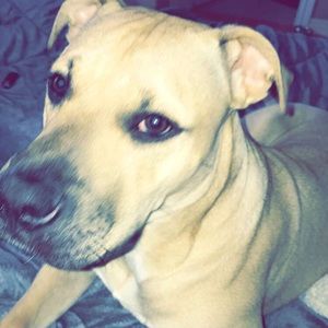 Meet your Posher, Chante